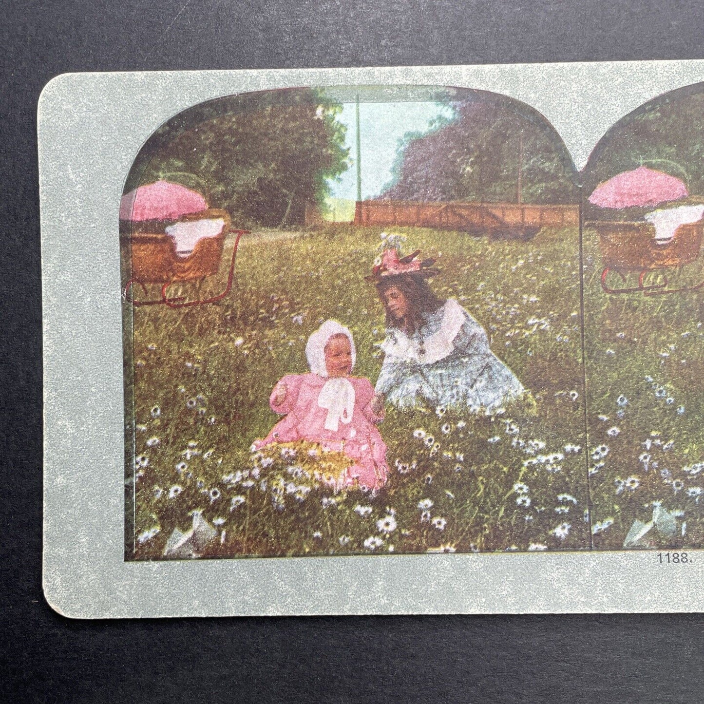 Antique 1898 Children Picking Daisies In A Field Stereoview Photo Card P1214