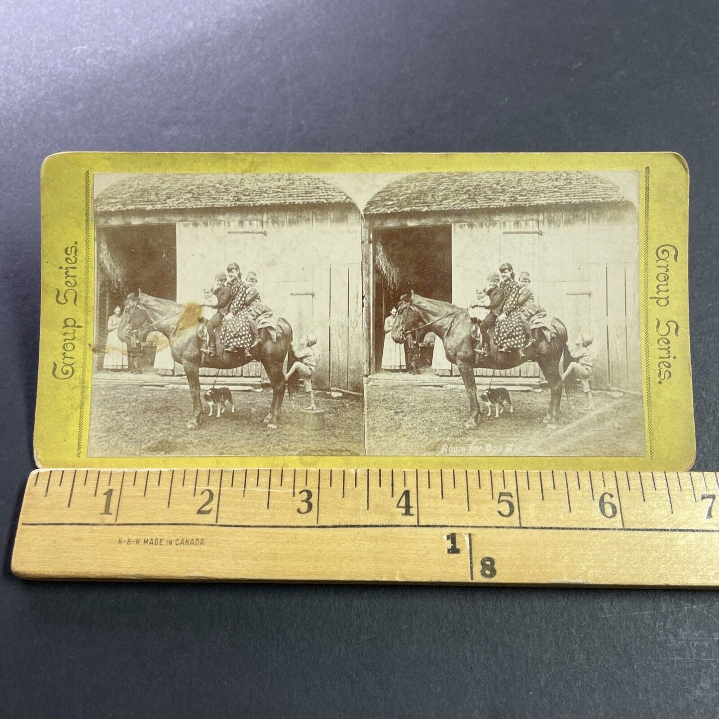 Antique 1870s Four Children Ride A Horse Stereoview Photo Card P4047