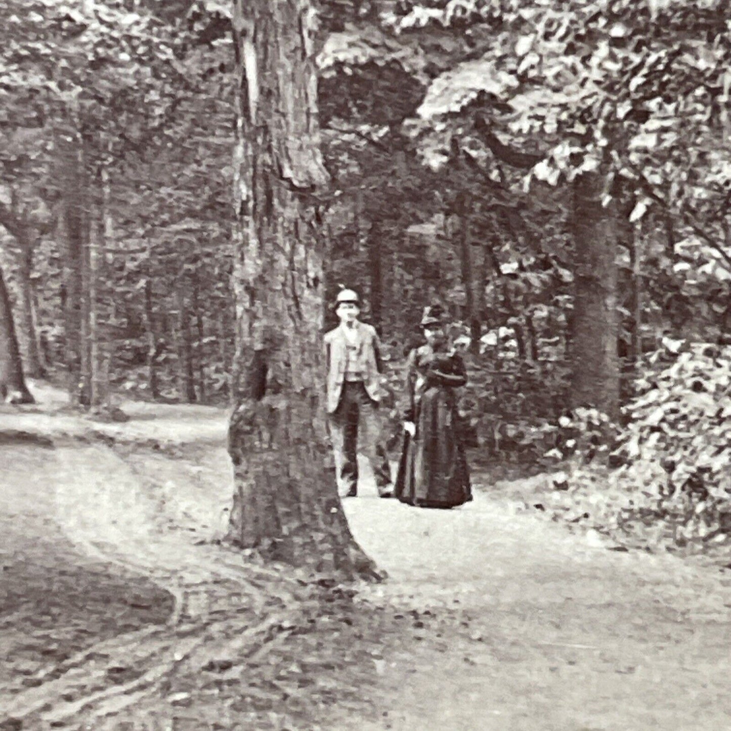 Antique 1880s Central Park Walk New York City Stereoview Photo Card P3476