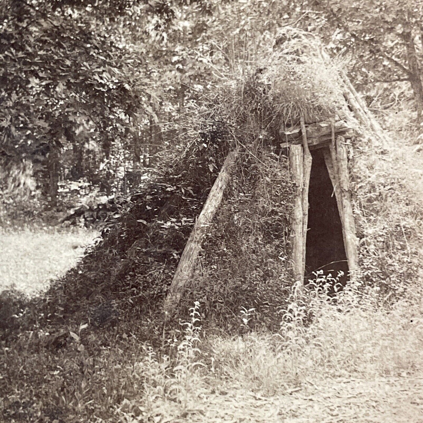 Overgrown American Indian Hut Stereoview Yosemite Charles Weed Antique 1860 X838