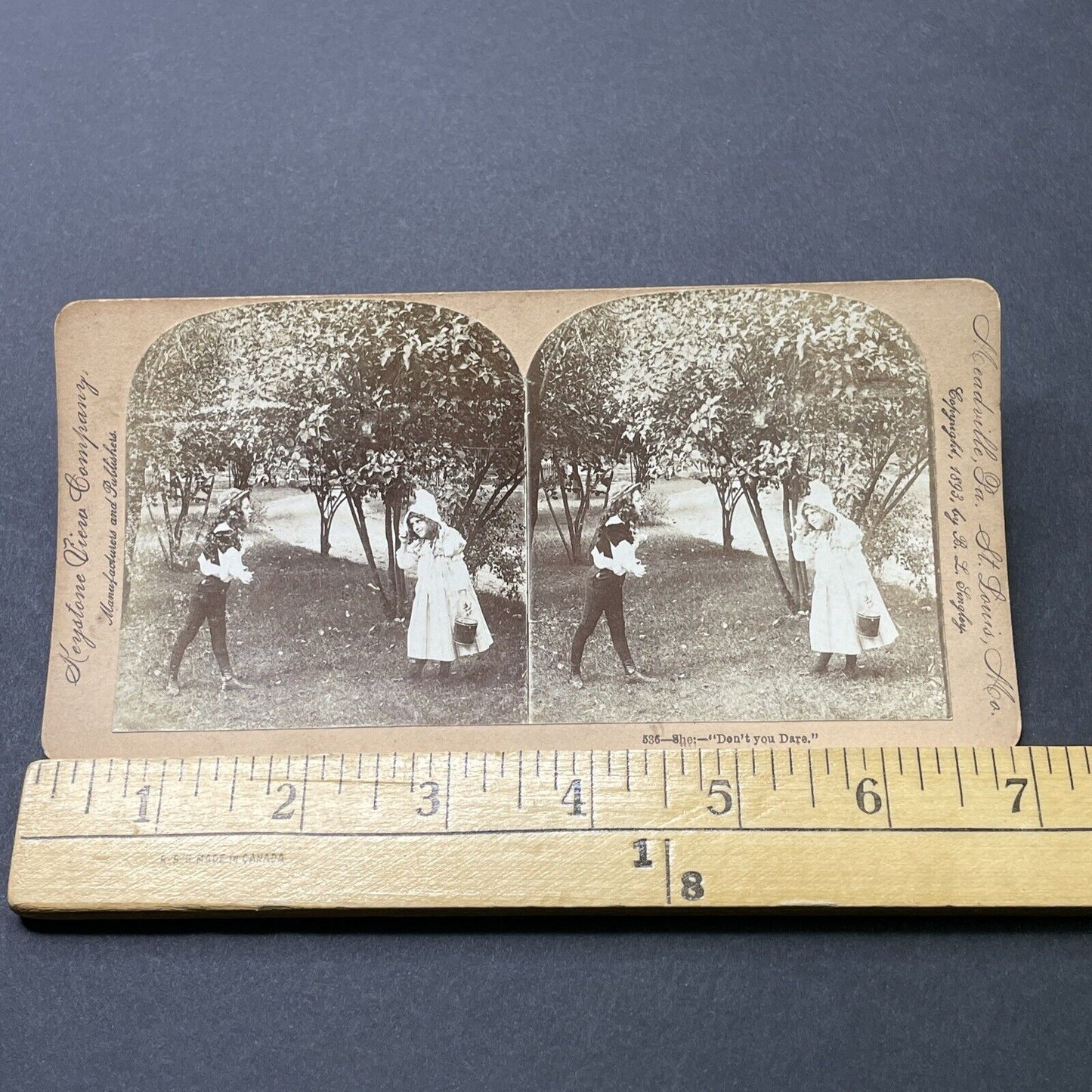 Antique 1893 Boy Throws Cherries At Girl Stereoview Photo Card P2716