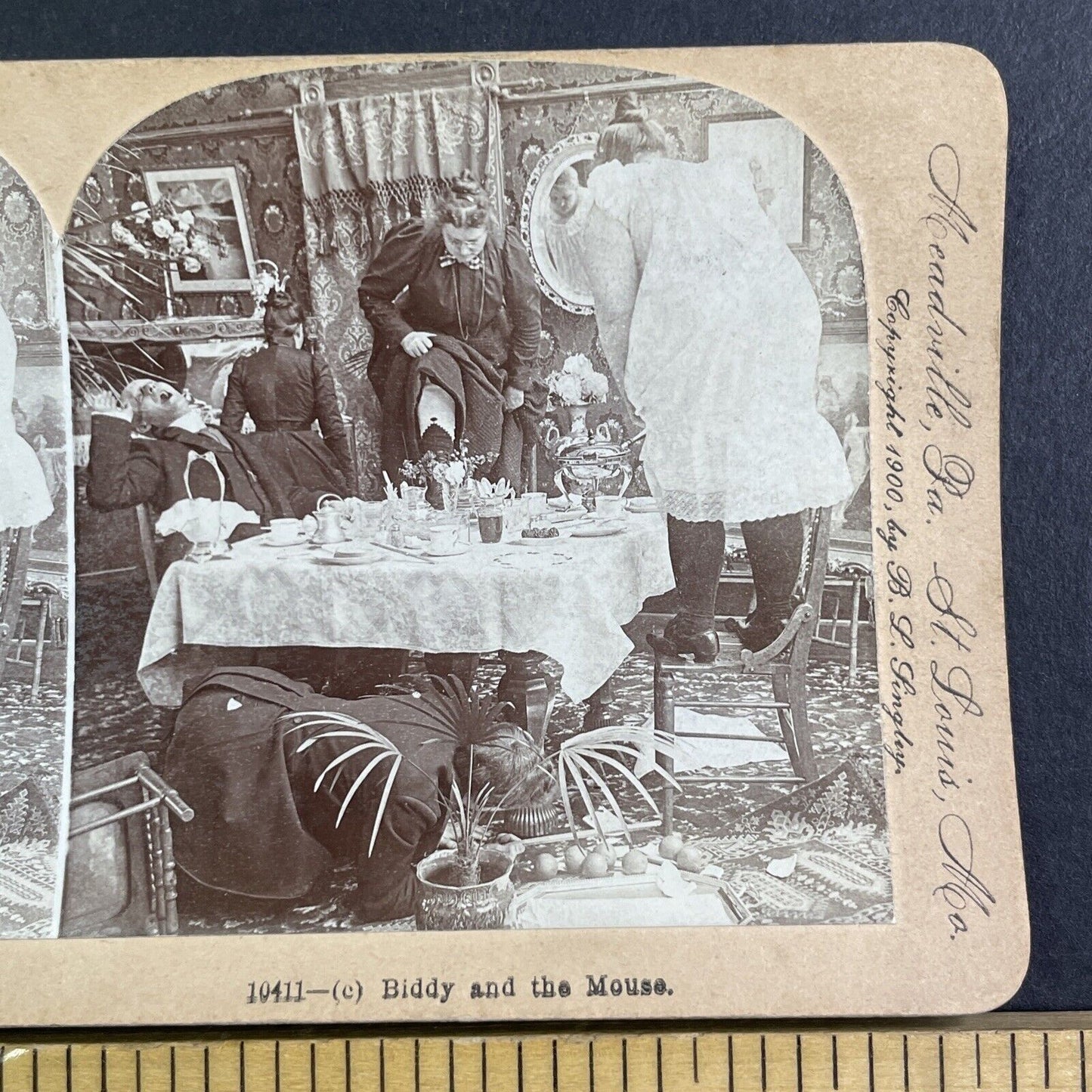 A Mouse Runs Across Dining Room Floor Stereoview Antique c1900 Y1225