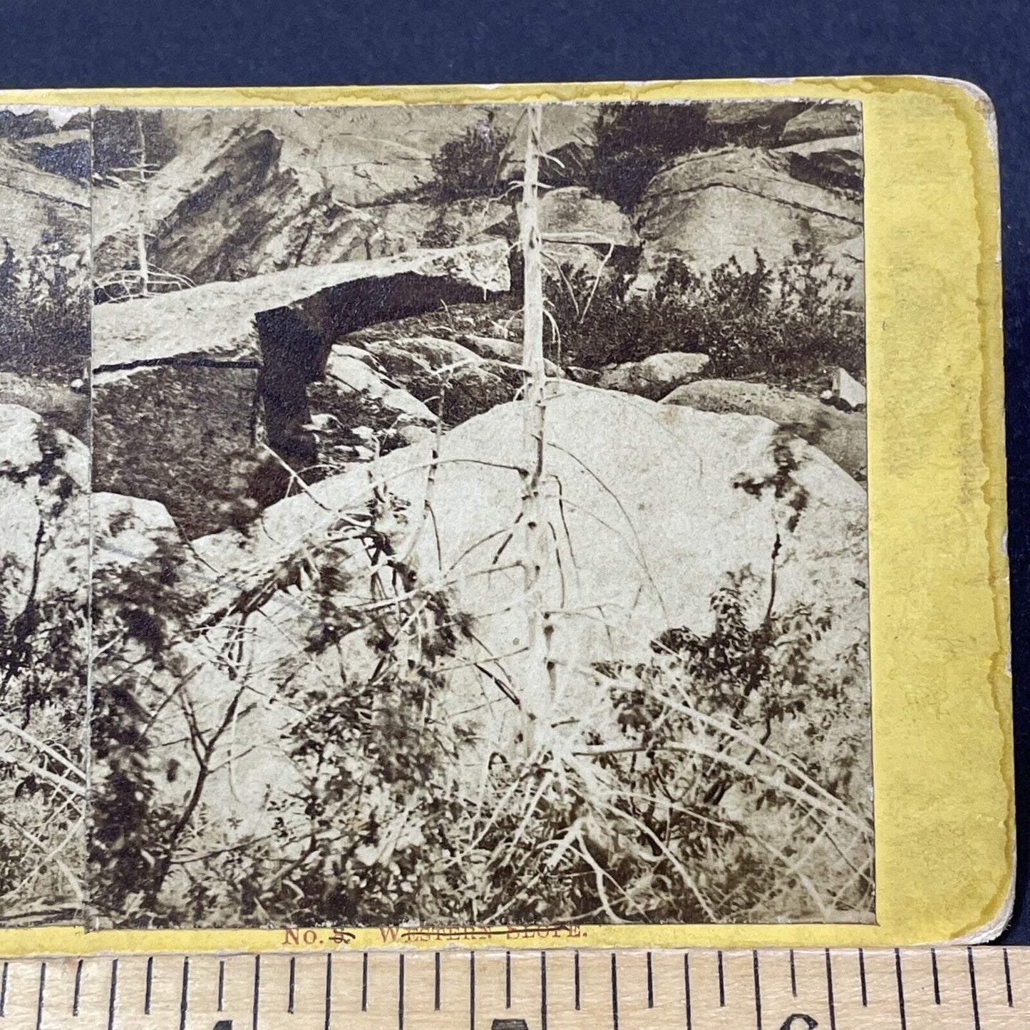 Antique 1870s Mount Monadnock Jumping Off Rock Stereoview Photo Card V2107