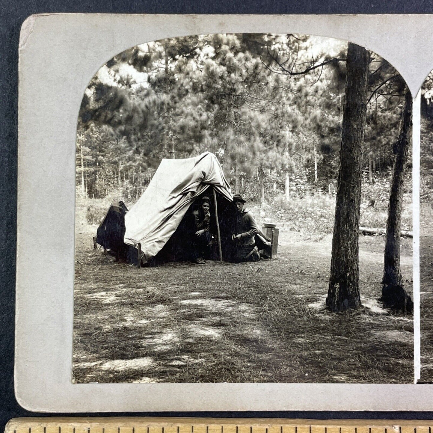 Lot of 3 Bass Lake Village California Stereoviews Camping Antique c1910s X3892