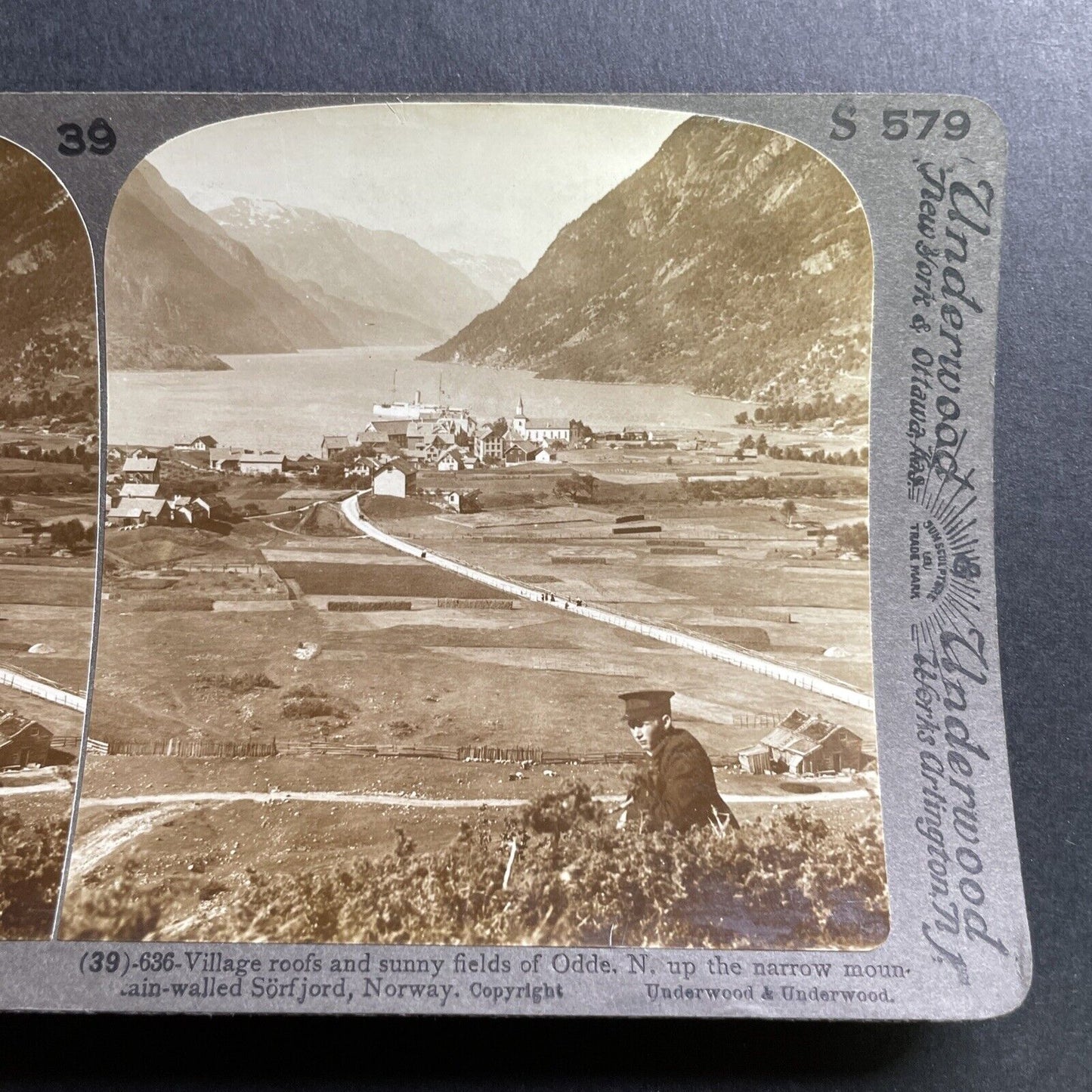 Antique 1902 Sorfjorden Odda Norway Stereoview Photo Card P1710