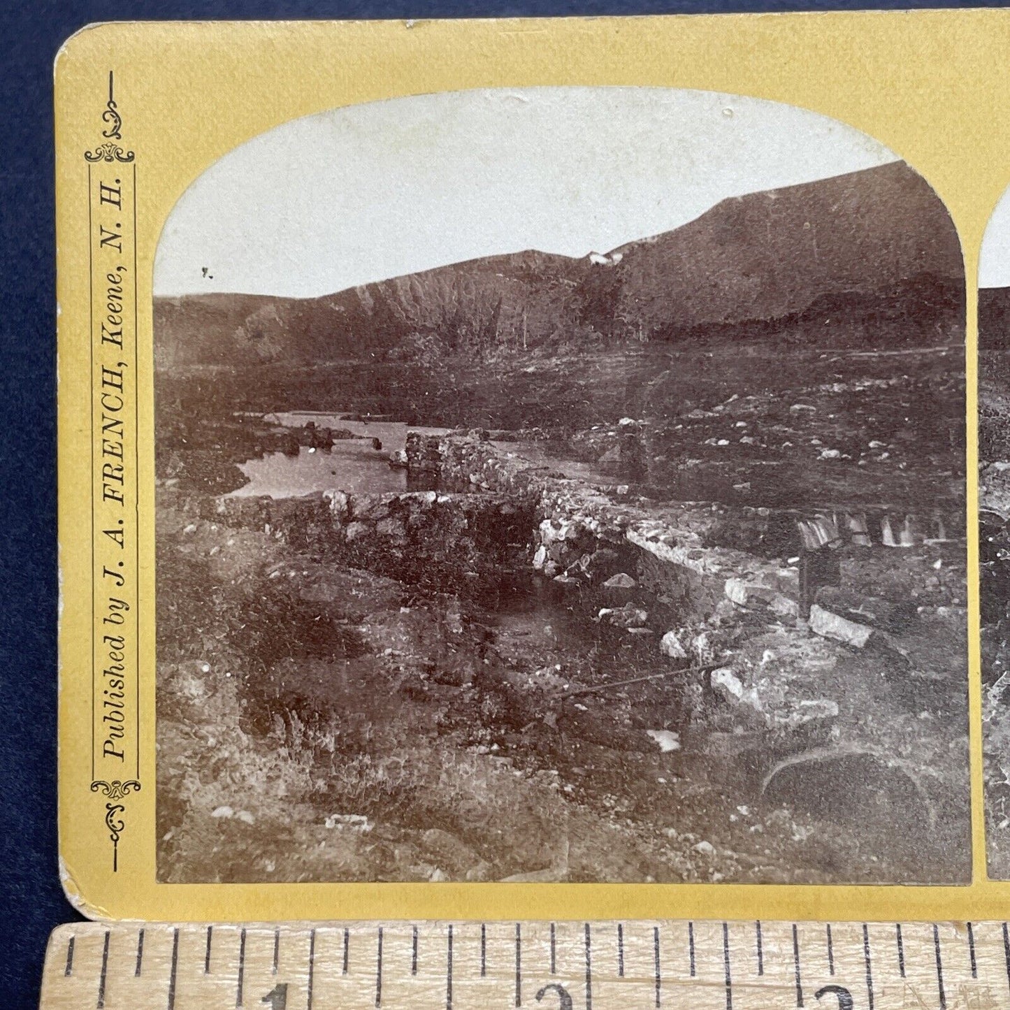 Antique 1874 Mill River Flood Disaster Massachusetts Stereoview Photo Card 1737