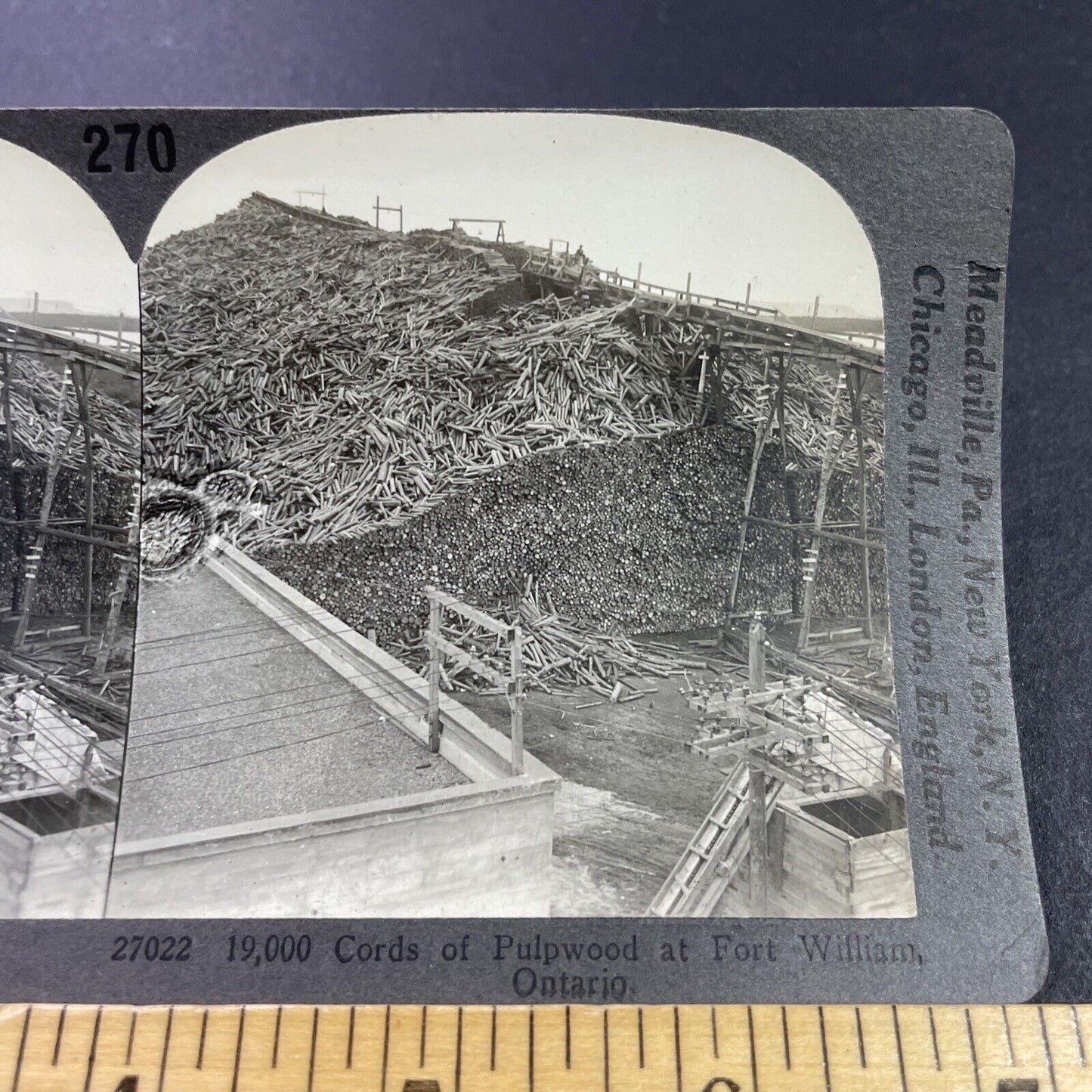 Antique 1910s Millions Of Logs Thunder Bay Ontario Stereoview Photo Card P3731