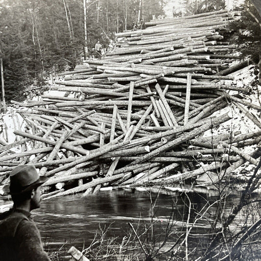 Antique 1910s Log Drivers Clear A Log Jam In Maine Stereoview Photo Card P4885