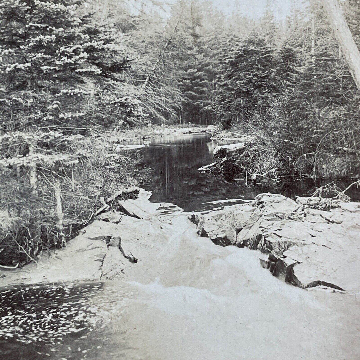 Northern Wisconsin Trout Stream Stereoview George Barker Antique c1889 Y2523