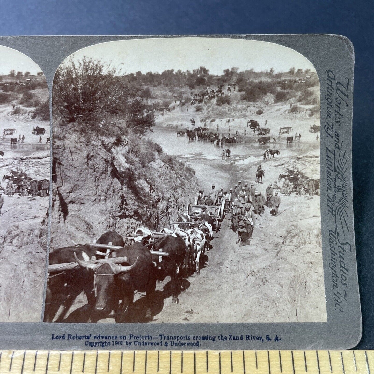 Antique 1901 British Army Advance Boer War Pretoria Stereoview Photo Card P3063