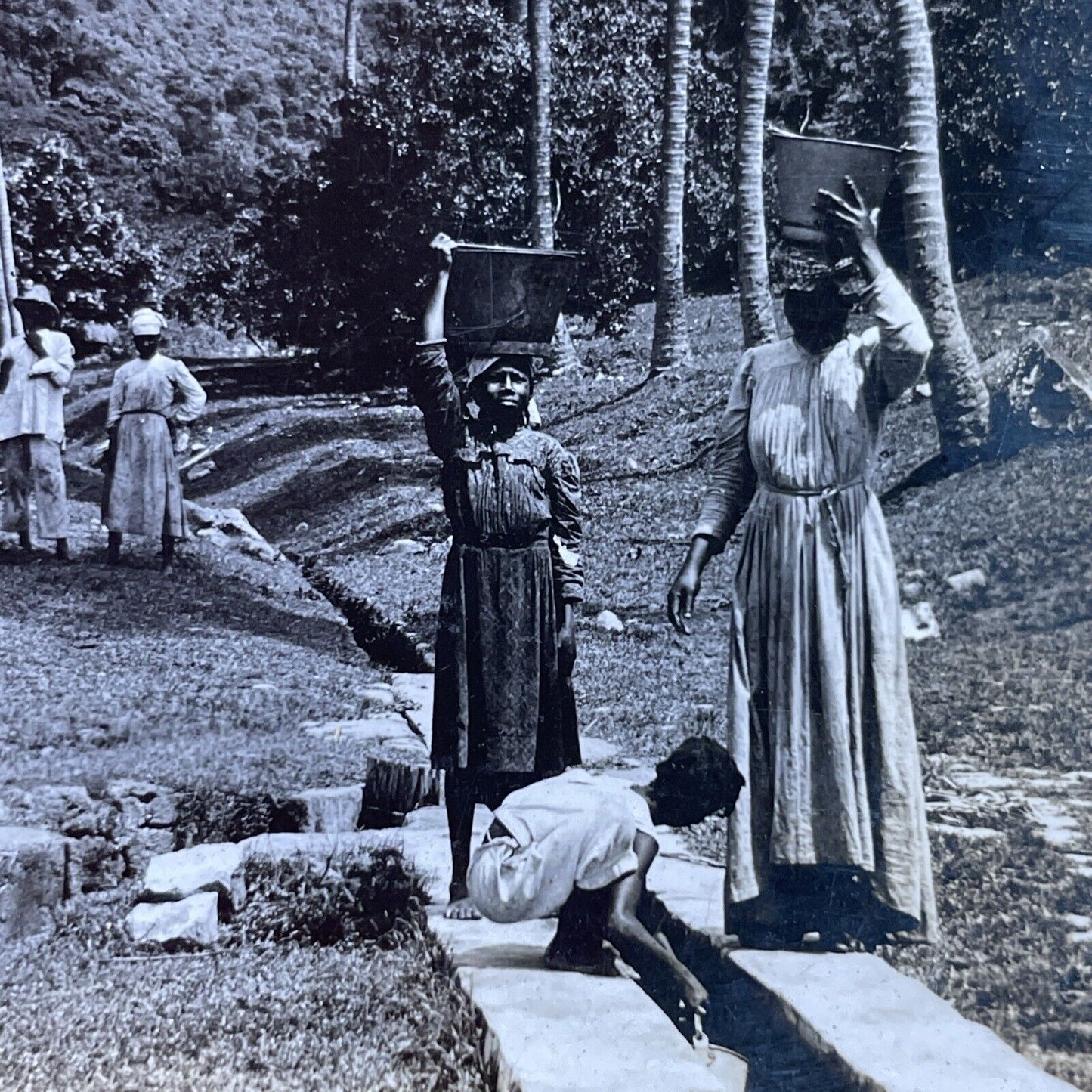 Antique 1890s Irrigation Trenches In Sudan Stereoview Photo Card P4008