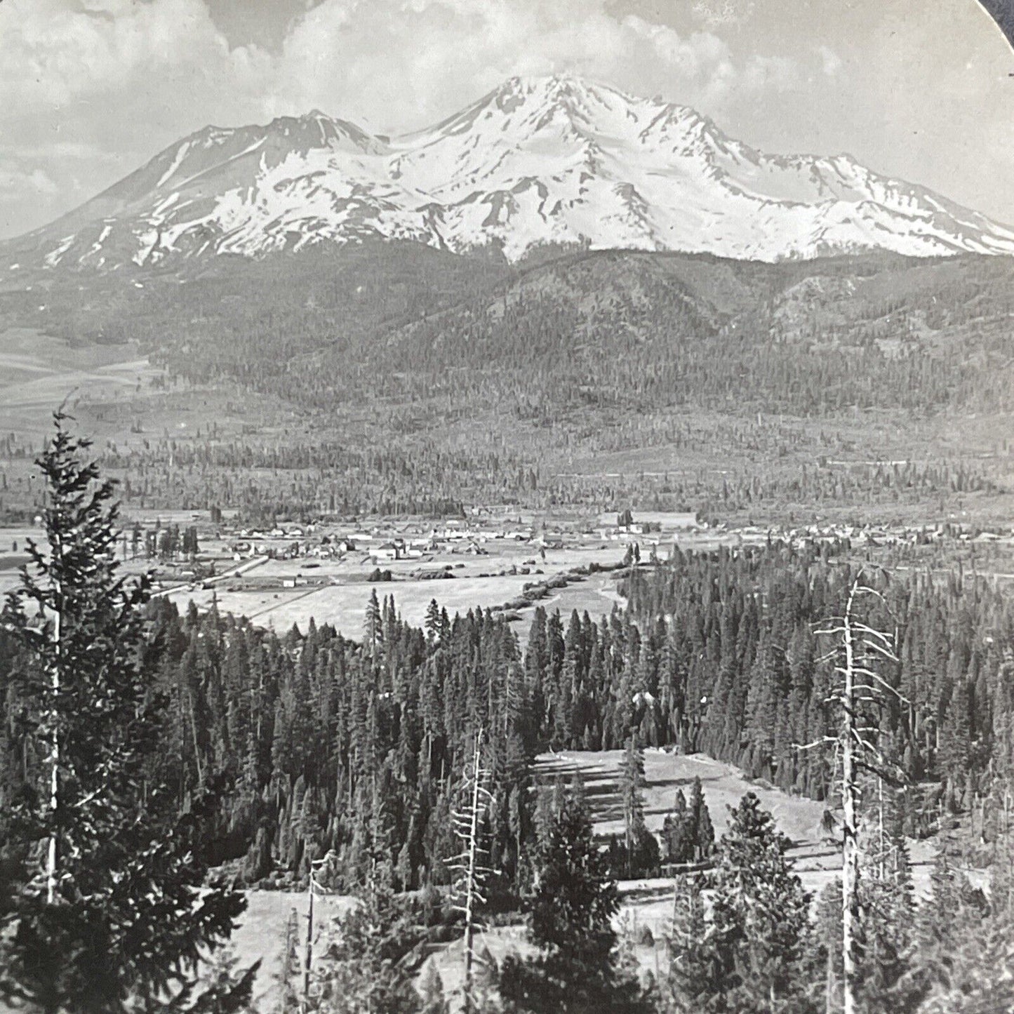 Mount Shasta California Snow-Capped Mountain Stereoview Antique c1910s Y991