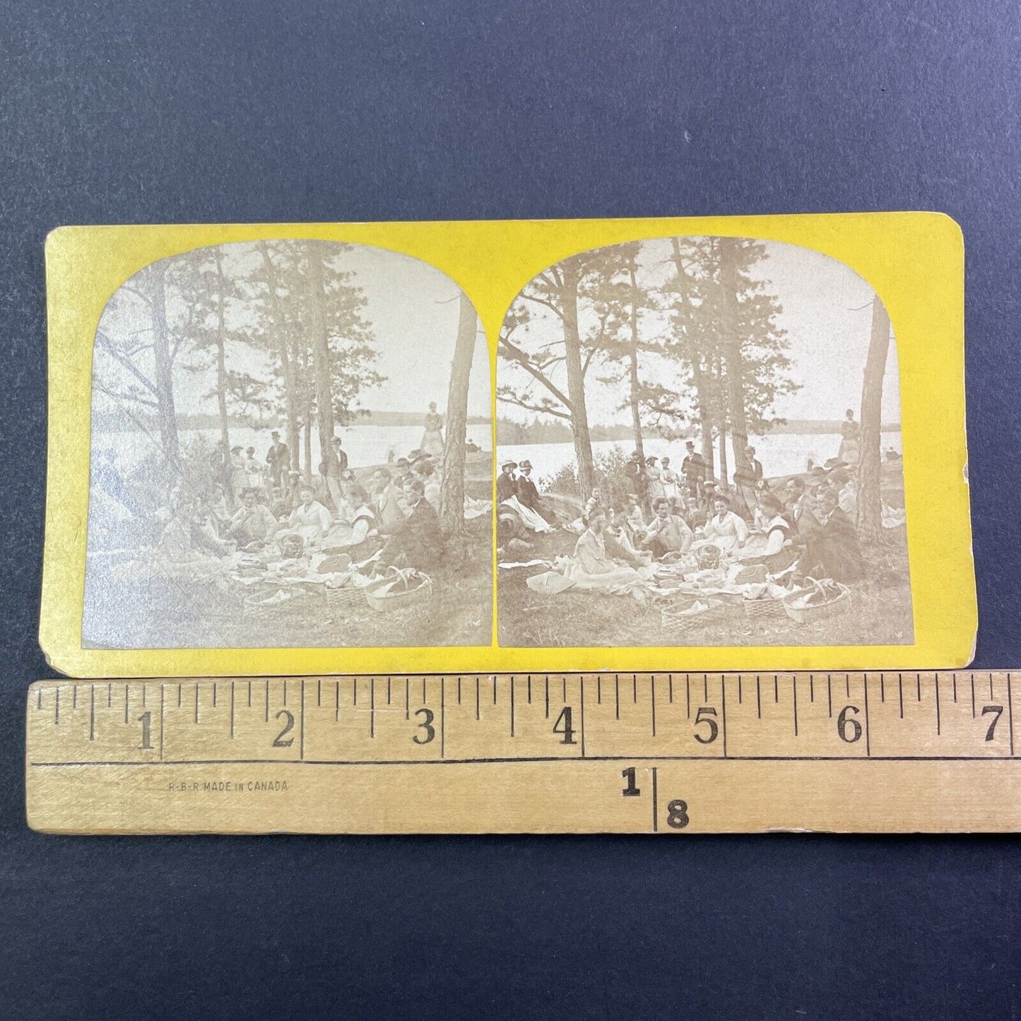 St. Lawrence Park Fernbank Ontario Stereoview Brockville Antique c1870 X1320