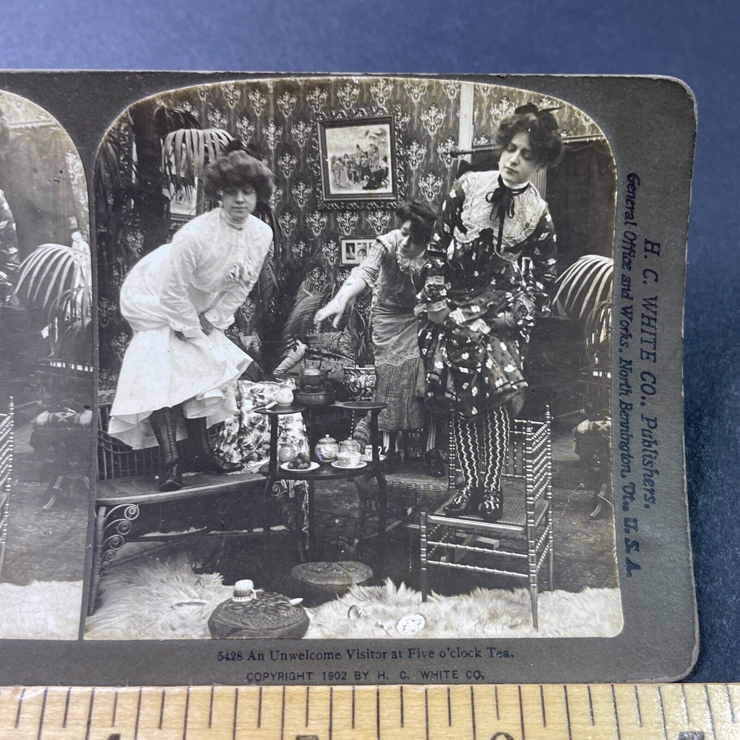 Antique 1902 Women Having Tea See A Rat Stereoview Photo Card P2892