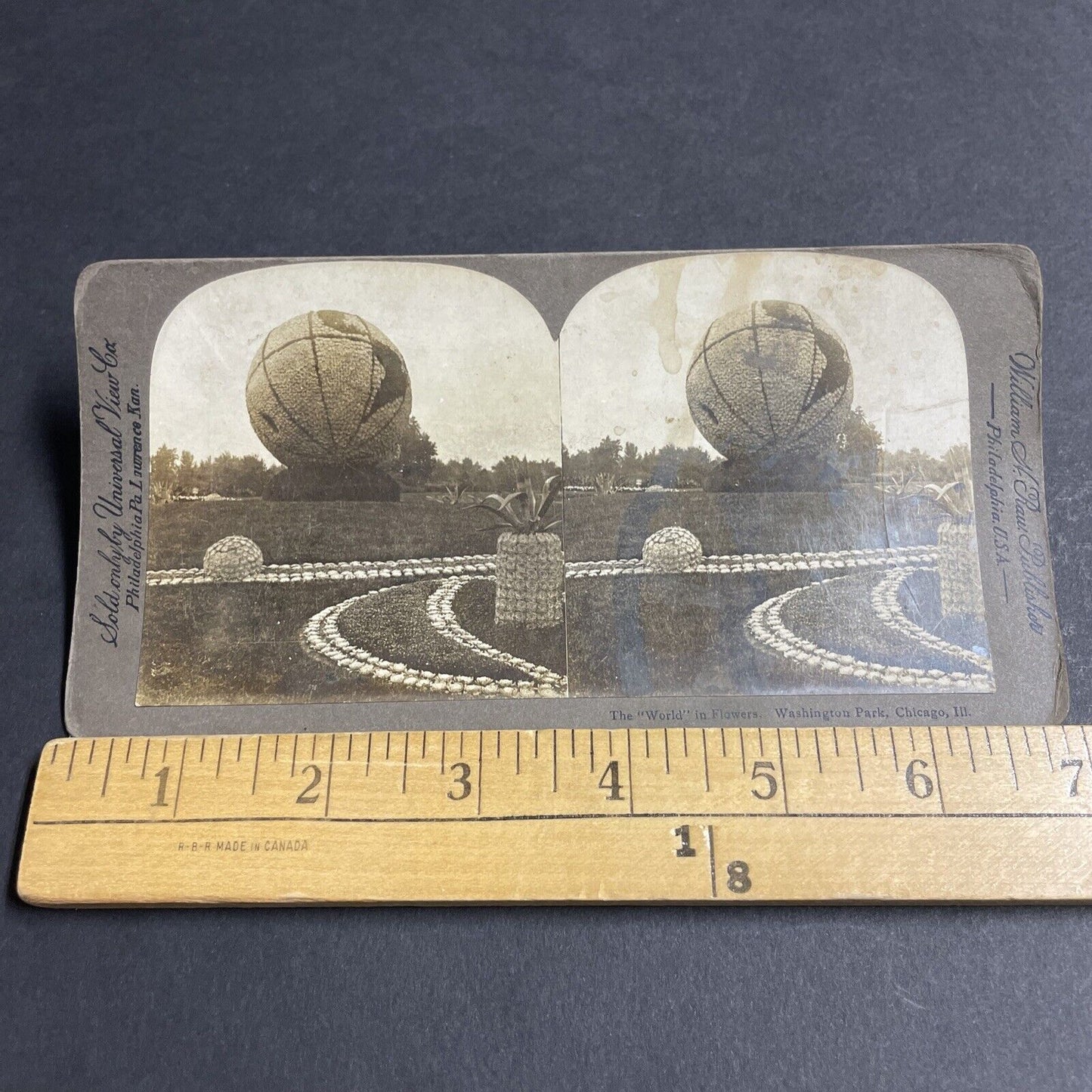 Antique 1900 Massive Flower Globe Chicago Illinois Stereoview Photo Card P4840