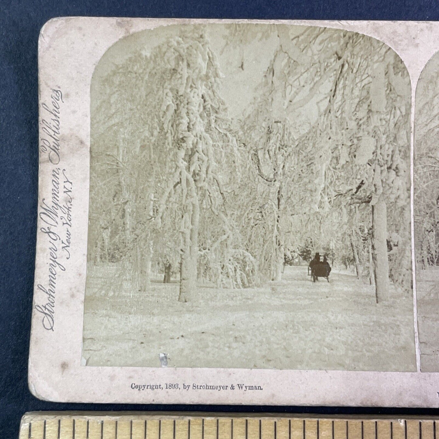 Winter Sleigh Ride in Prospect Park Stereoview Niagara Falls Antique c1893 Y2751