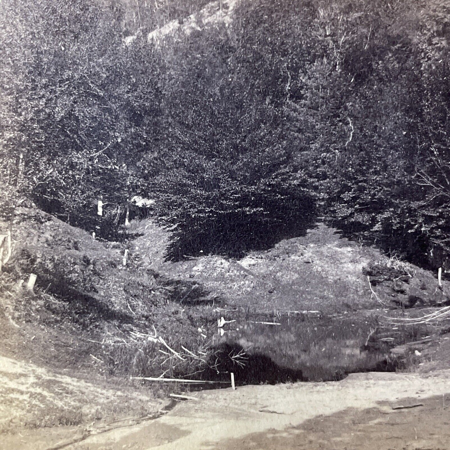 Antique 1880s Humphrey's Ledge North Conway NH Stereoview Photo Card V1844