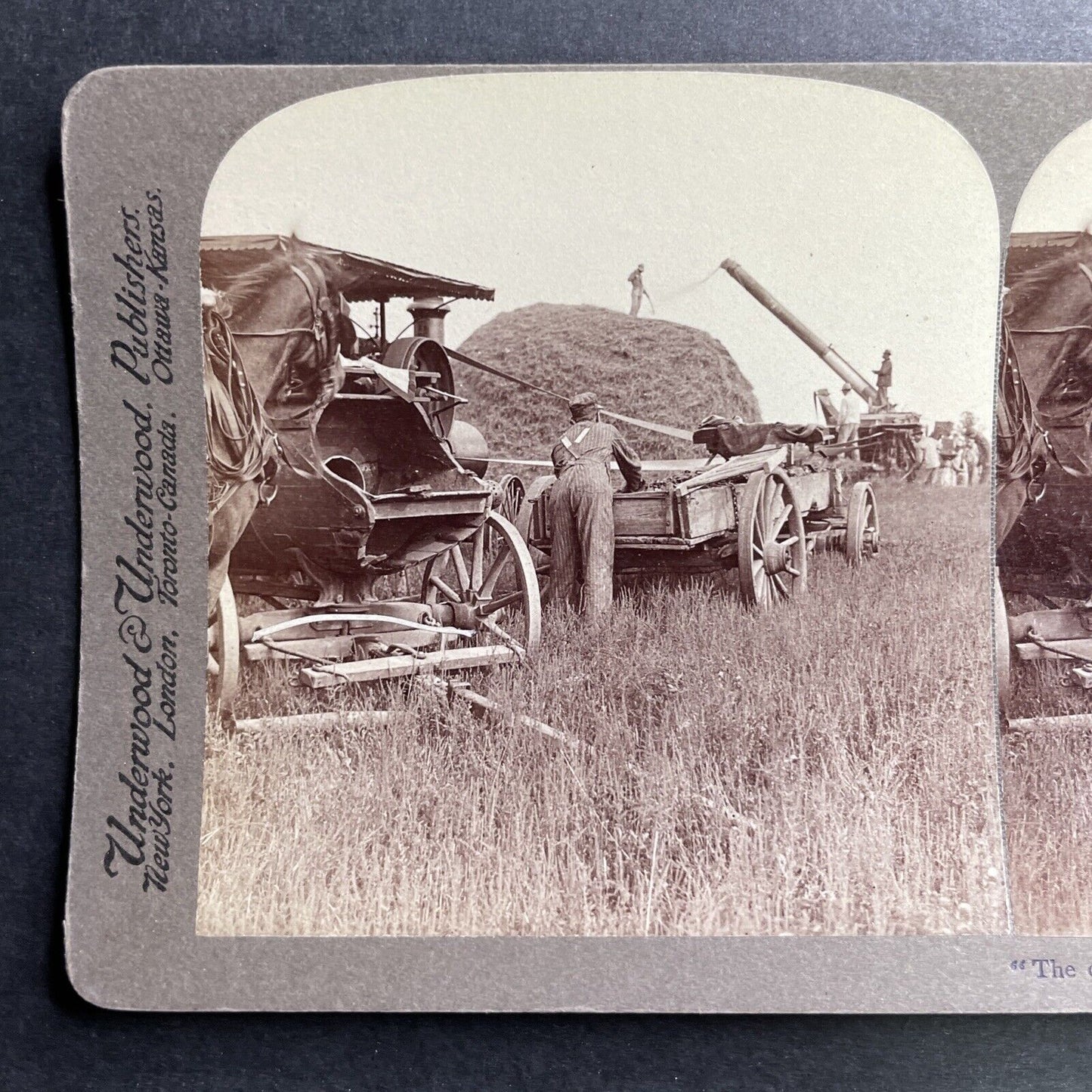 Antique 1903 Farmers Thresh Wheat Michigan USA Stereoview Photo Card P1539