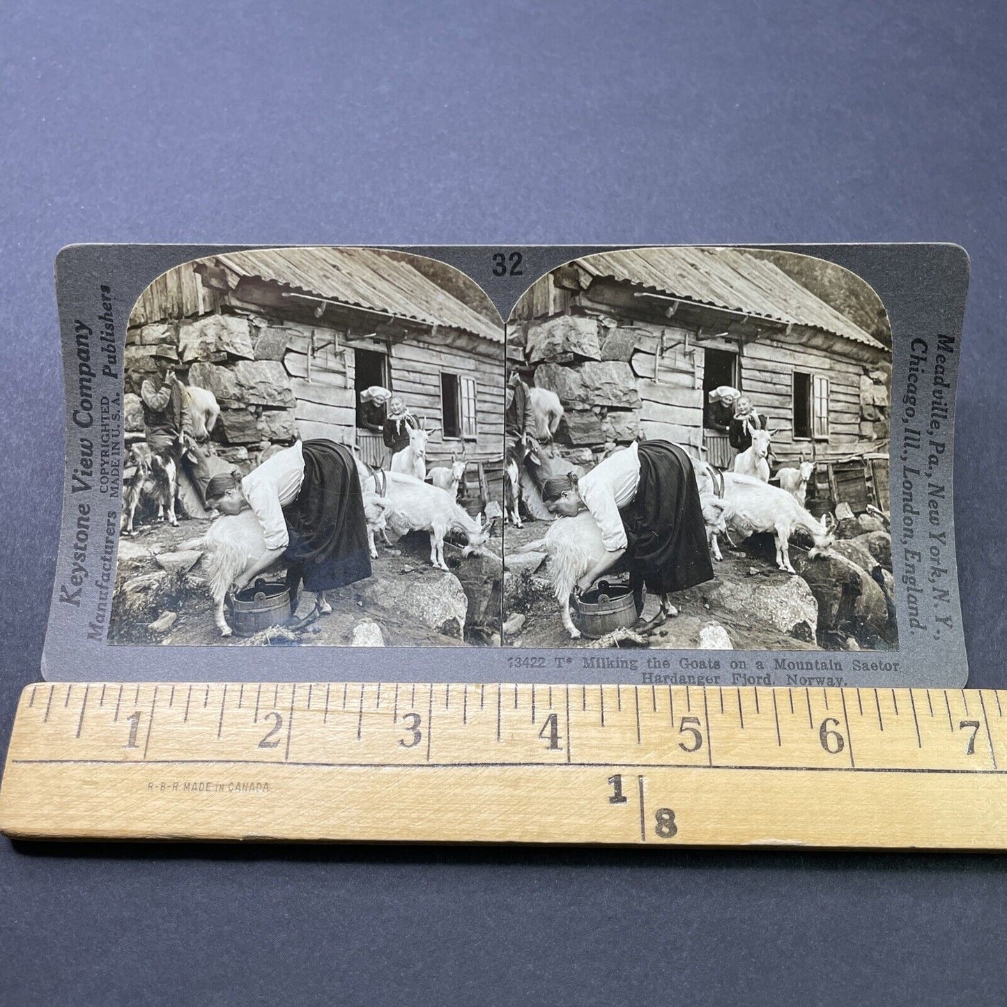 Antique 1910s Young Woman Milking Goat Norway Stereoview Photo Card P2778