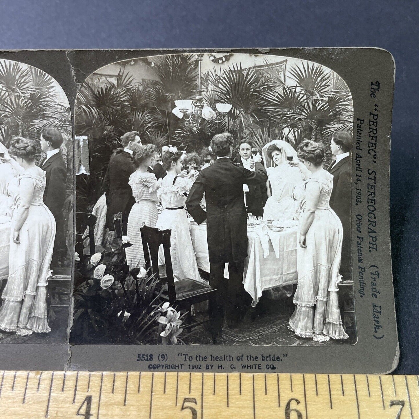 Antique 1903 A Wine Toast At A Victorian Wedding Stereoview Photo Card P2967