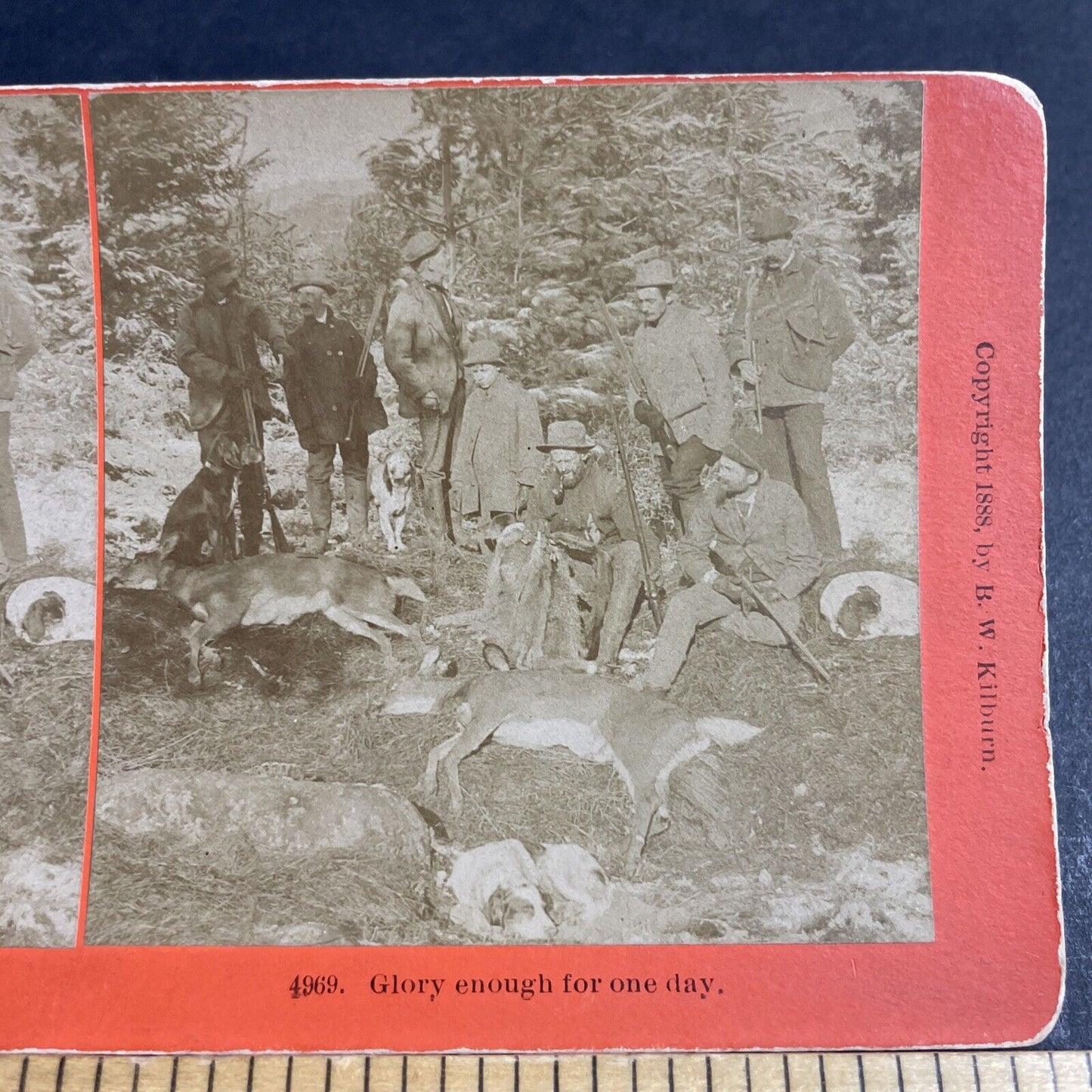 Antique 1888 Hunters Show Off Dead Deer Kills Stereoview Photo Card P4622