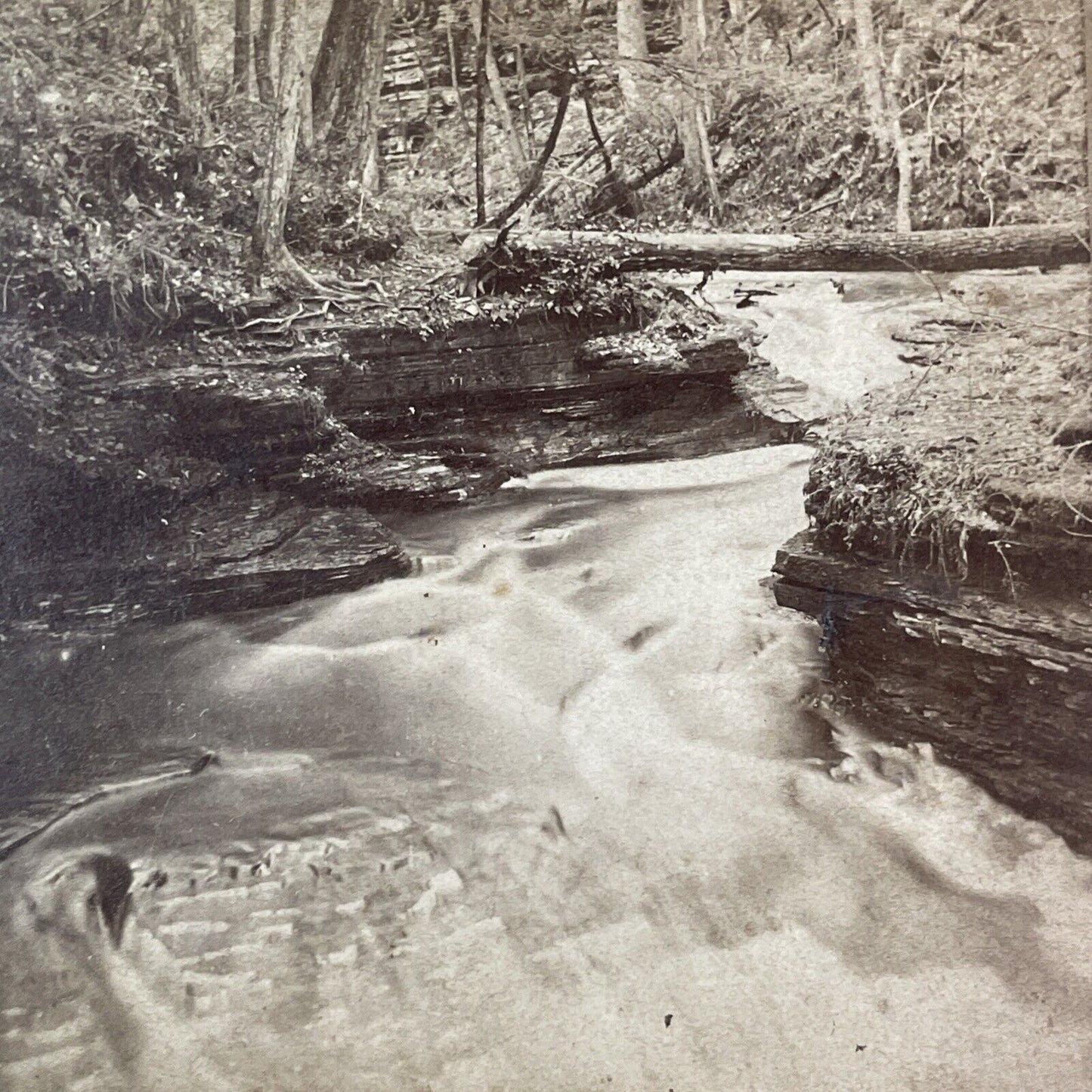 Northern Central Railroad Stereoview Forest Grotto Watkins Glen c1870s Y2175