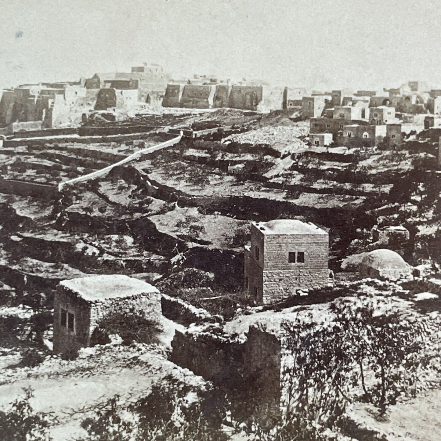 Bethlehem Village View Israel Palestine Stereoview Antique c1880s X4101