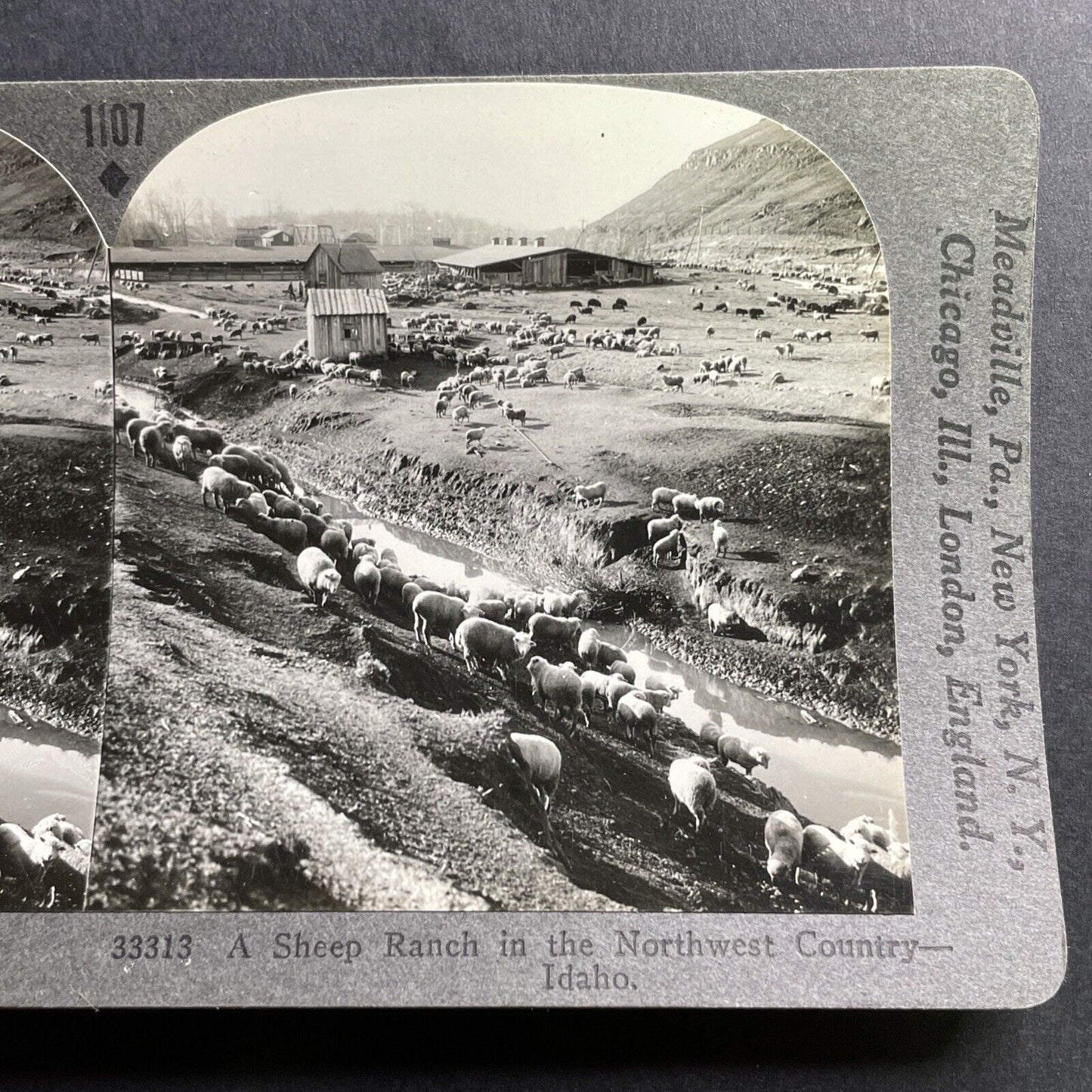 Antique 1935 Sheep Farm Near Moscow Idaho Stereoview Photo Card P1702