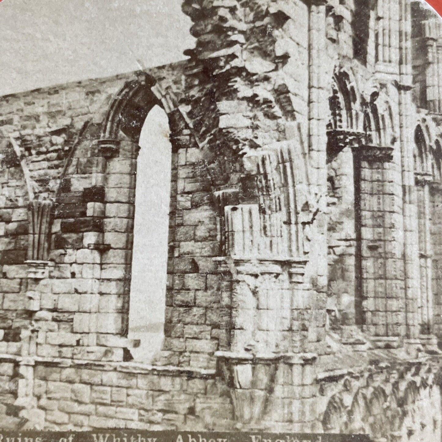 Antique 1860s Whitby Abbey Ruins England UK Stereoview Photo Card P4380