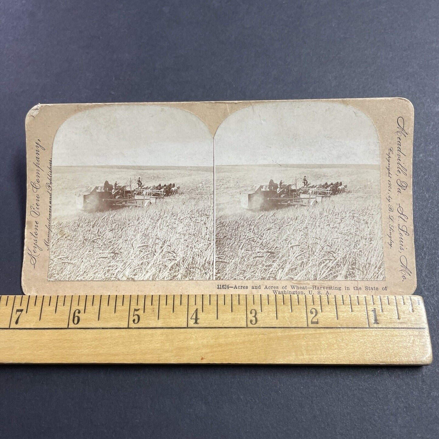 Antique 1901 Horse Drawn Amish Hay Harvest Stereoview Photo Card P856-08