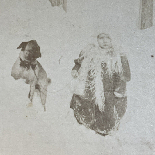 Antique 1870s Child And Pug Dog In Snowstorm Stereoview Photo Card P3538