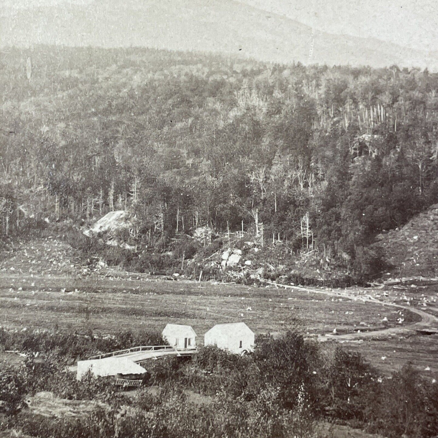 Mount Washington NH Stereoview Glen House Farm NW Pease Antique c1869 X947