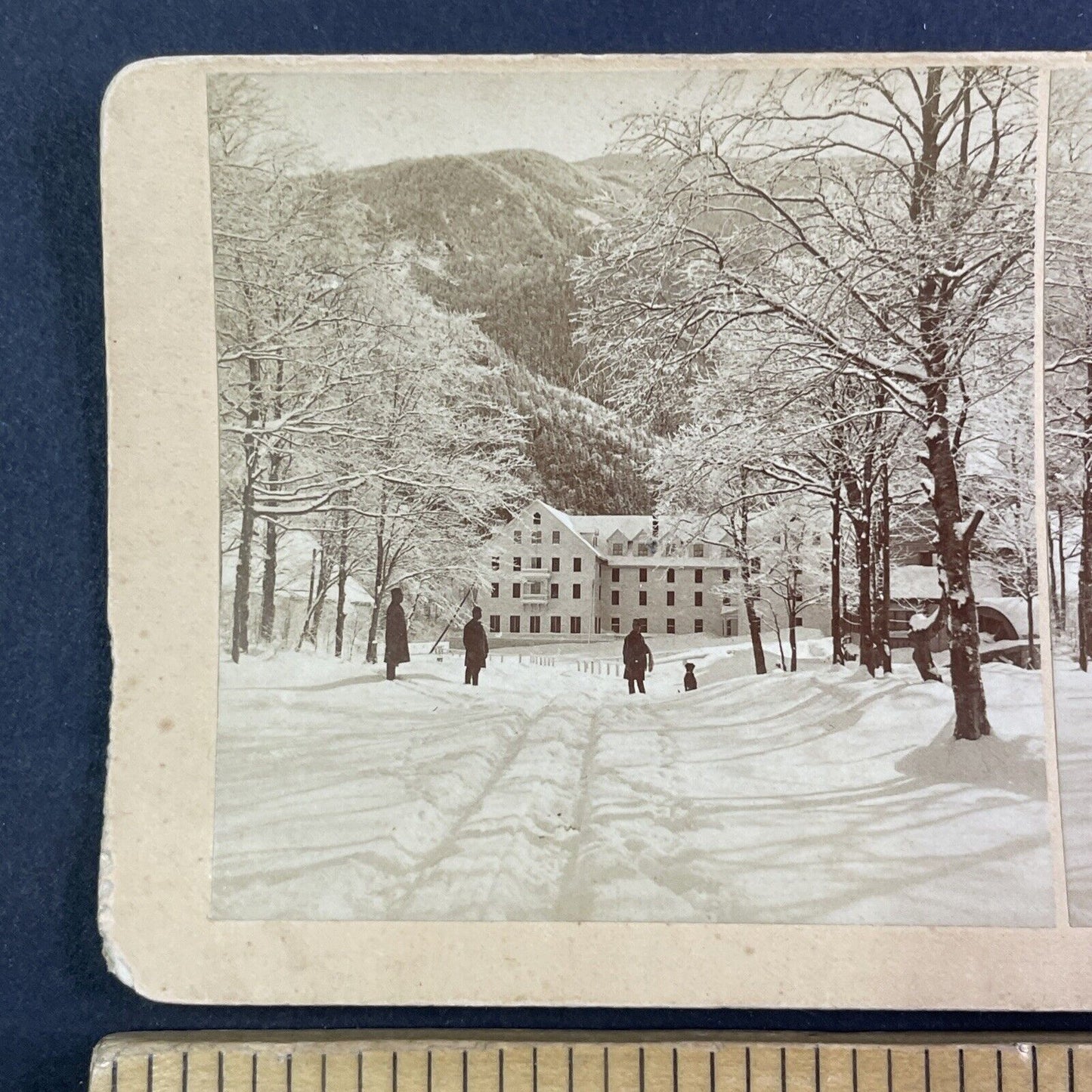 Profile House Franconia New Hampshire Stereoview Antique c1880s X4098