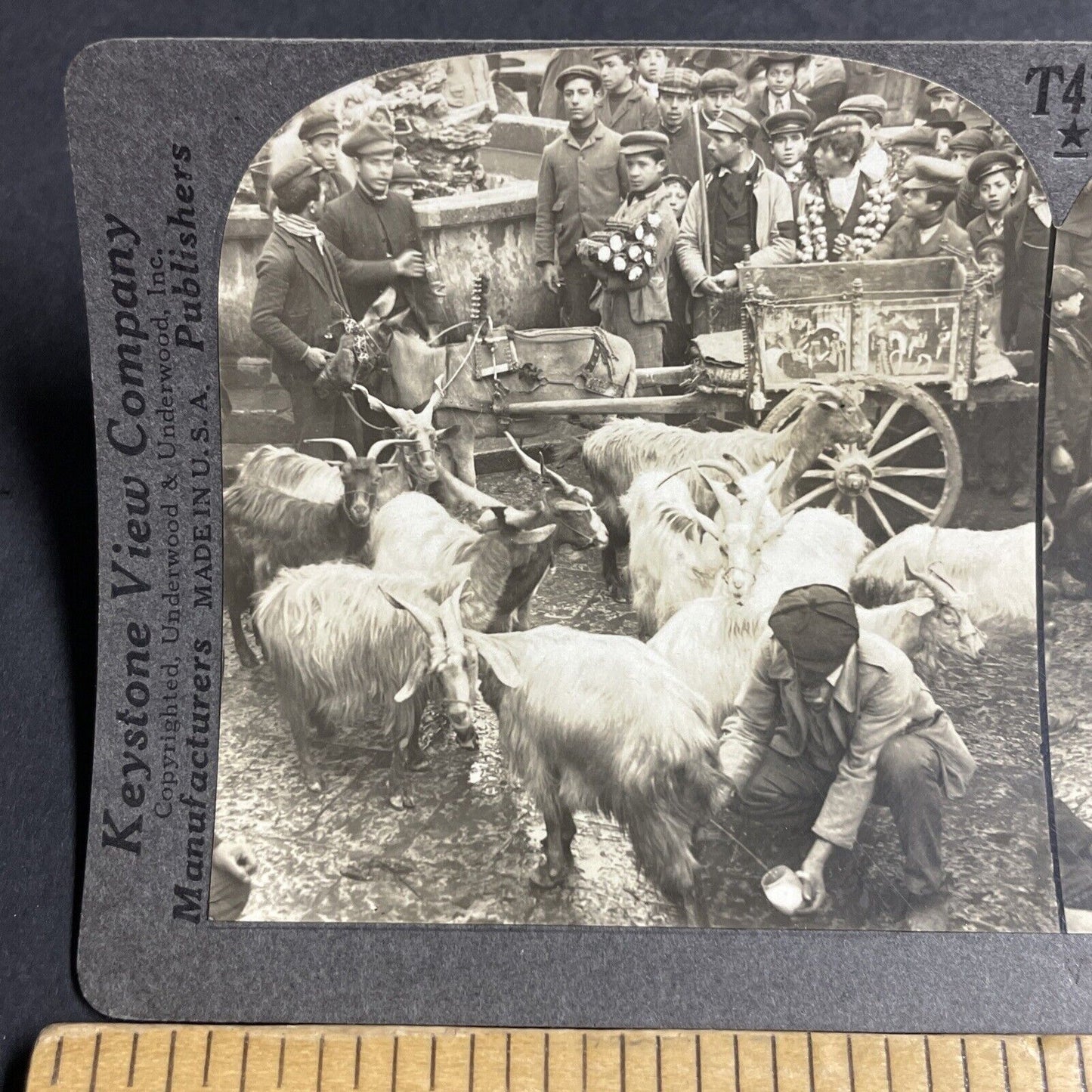 Antique 1910s Man Milking Goats Palermo Italy Stereoview Photo Card P4156