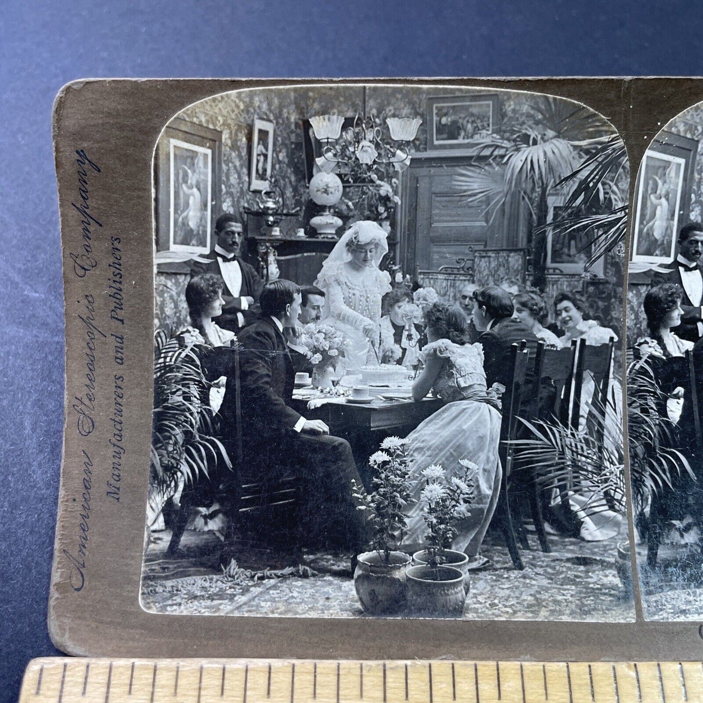 Antique 1900 Bride Cuts Wedding Cake Stereoview Photo Card P2904