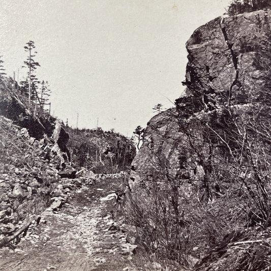 Antique 1870s Logging Trail Crawford Notch NH Stereoview Photo Card V1761