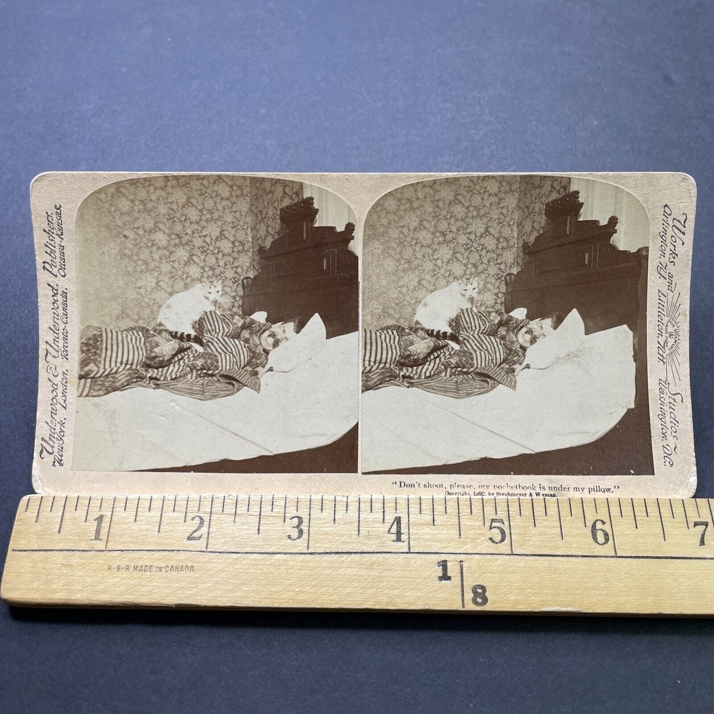 Antique 1892 Cat Wakes Man Up From Sleep Nap Stereoview Photo Card P2508