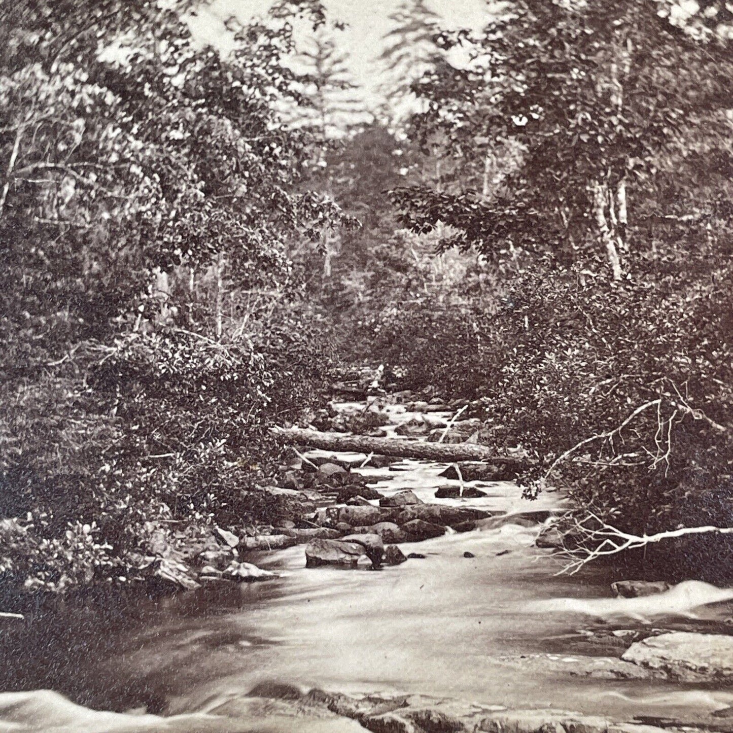 The Rattle River Lot Of 3 Stereoview New Hampshire Antique c1870 X3232