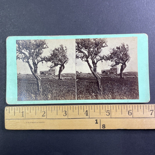 Rachel's Tomb Bethlehem Israel Palestine Stereoview Salt Print c1860 Y454