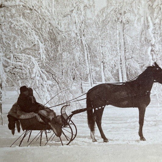 Antique 1880s Sleigh Ride In Littleton New Hampshire Stereoview Photo Card PC799