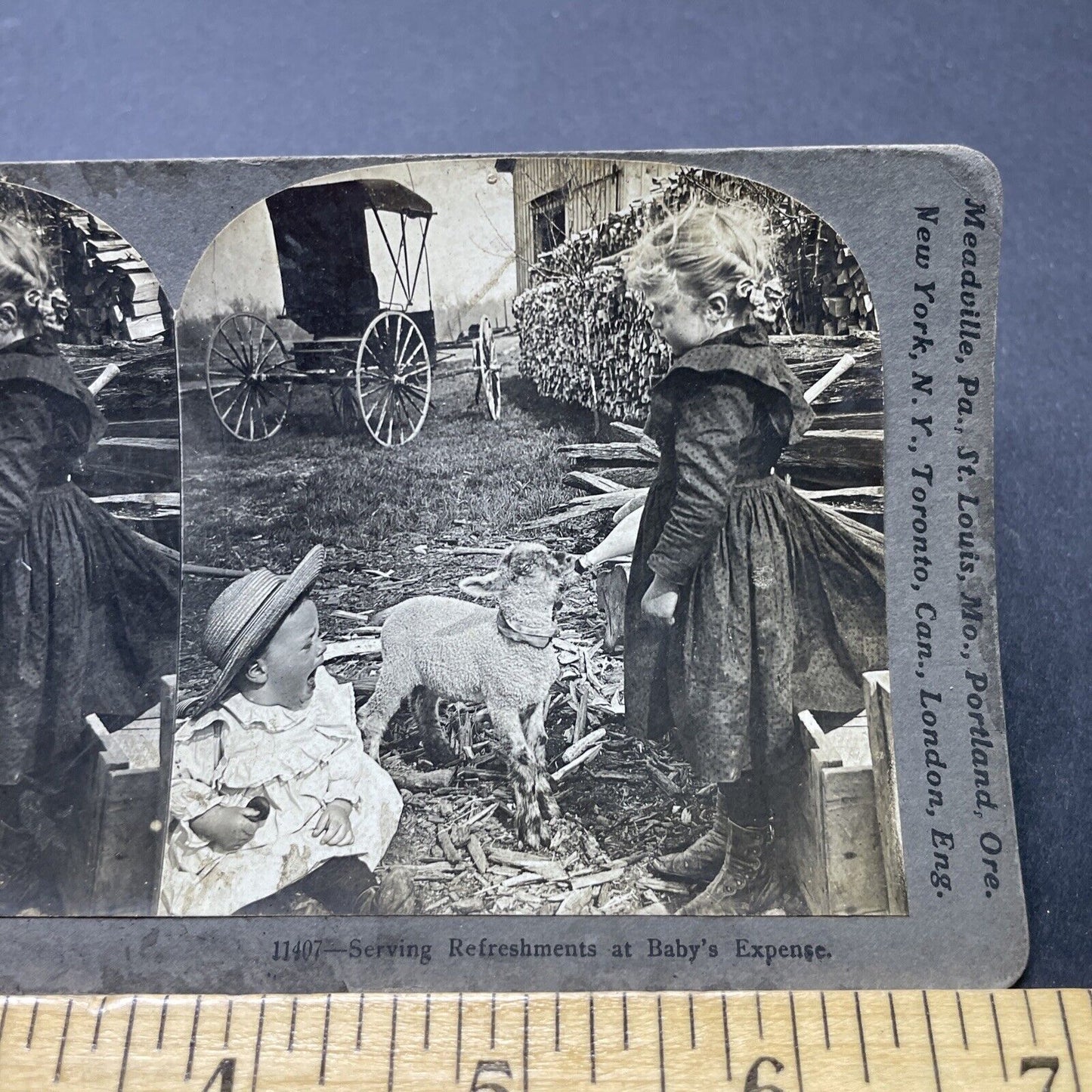 Antique 1901 Girl Feeds Baby's Milk Bottle To A Lamb Stereoview Photo Card P2595