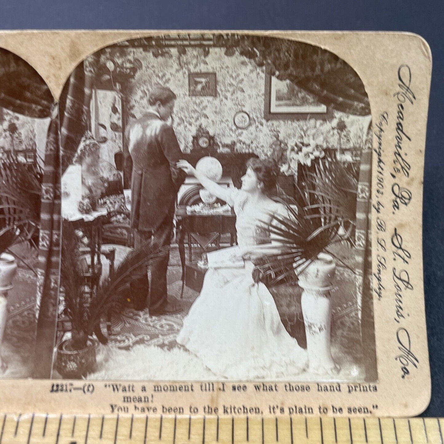 Antique 1903 Woman Accuses Man Of Affair With Cook Stereoview Photo Card P2621