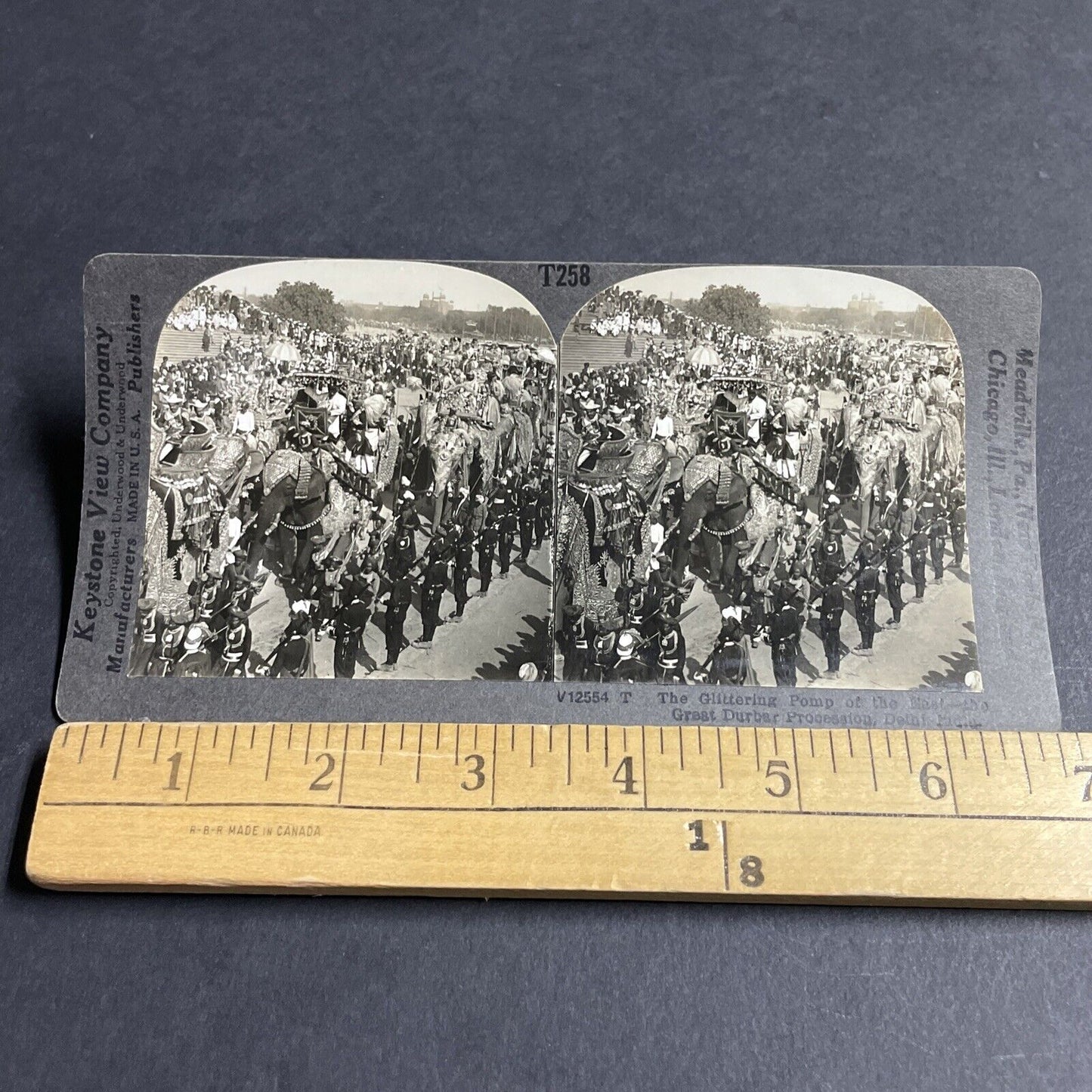 Antique 1910s Elephants Dressed Up Military Parade Stereoview Photo Card P4427