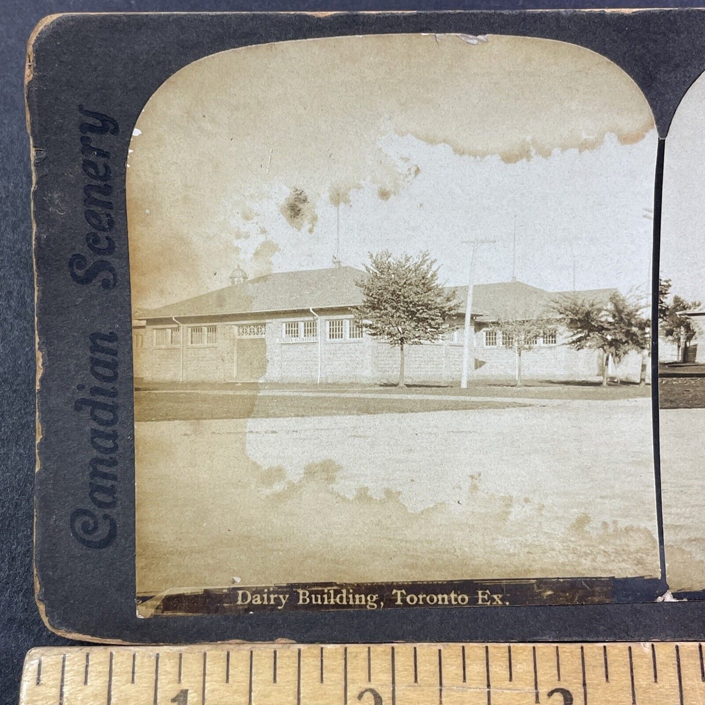 Toronto Dairy Building Stereoview Ontario Canada Antique c1901 Y2791