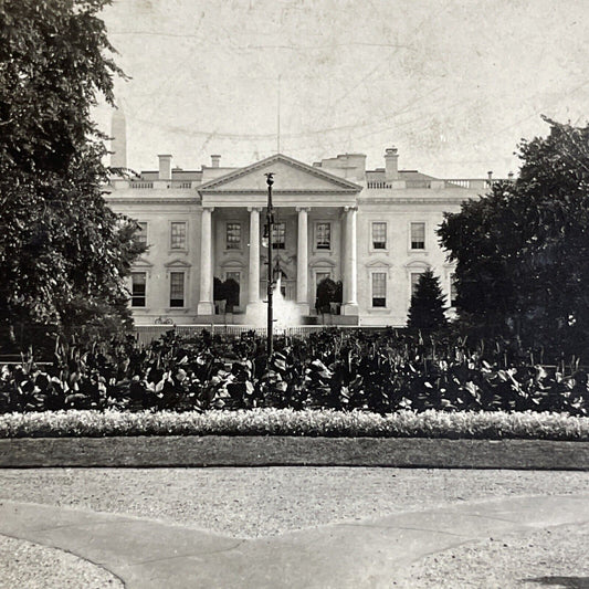 Antique 1909 The White House Washington DC Stereoview Photo Card P4306