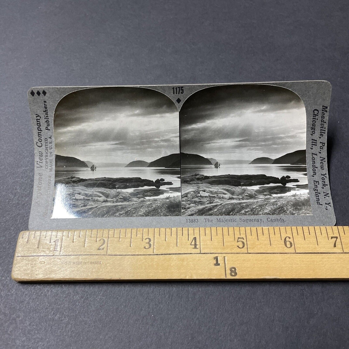 Antique 1910s Saguenay–St. Lawrence Marine Park QUE Stereoview Photo Card V2621