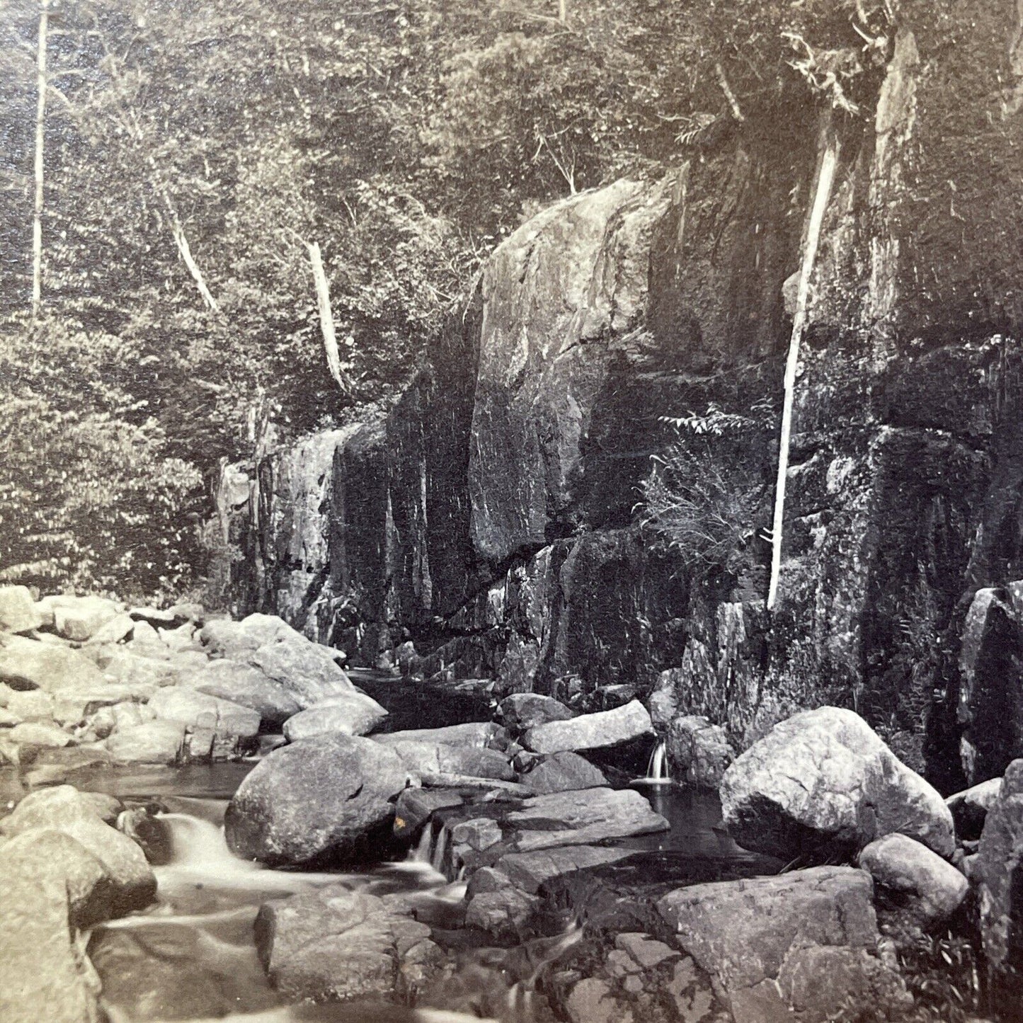 Antique 1870s Black Mountain Thornton New Hampshire Stereoview Photo Card V1944