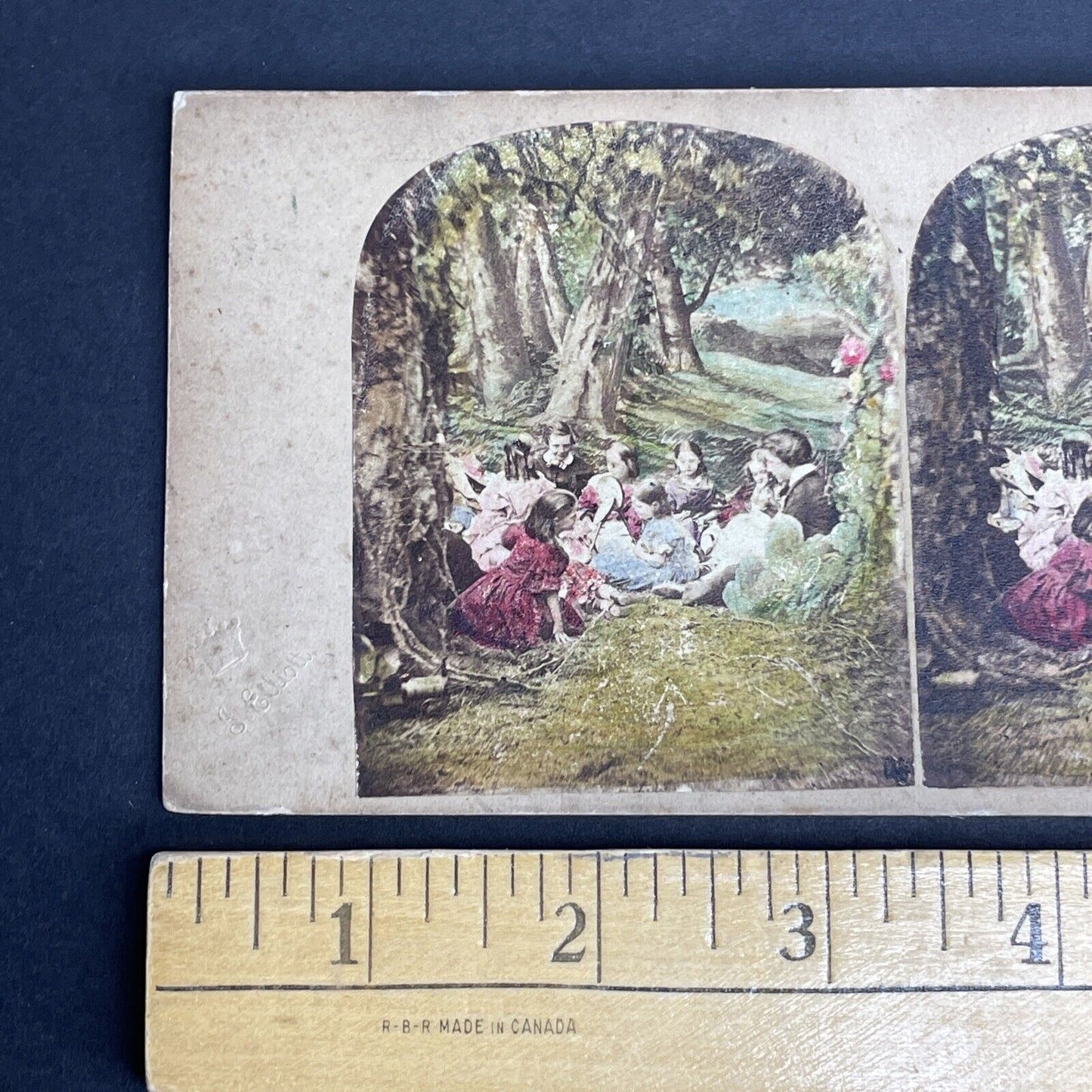 Antique c1840s French Picnic In Ancient Forest Stereoview Photo Card PC827