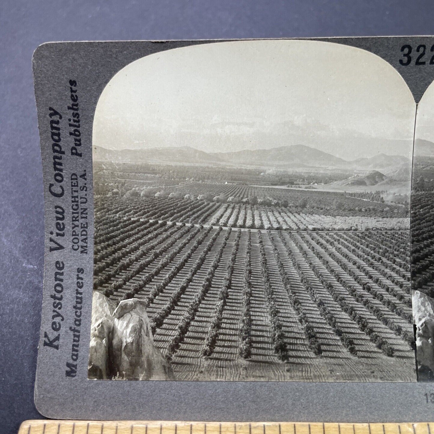 Antique 1910s Oranges Farm In Pasadena California Stereoview Photo Card P3146