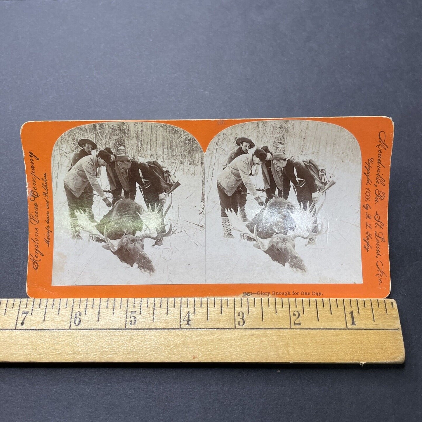 Antique 1898 Hunters Kill Moose Presque Isle Maine Stereoview Photo Card P2293